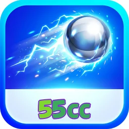 55cc